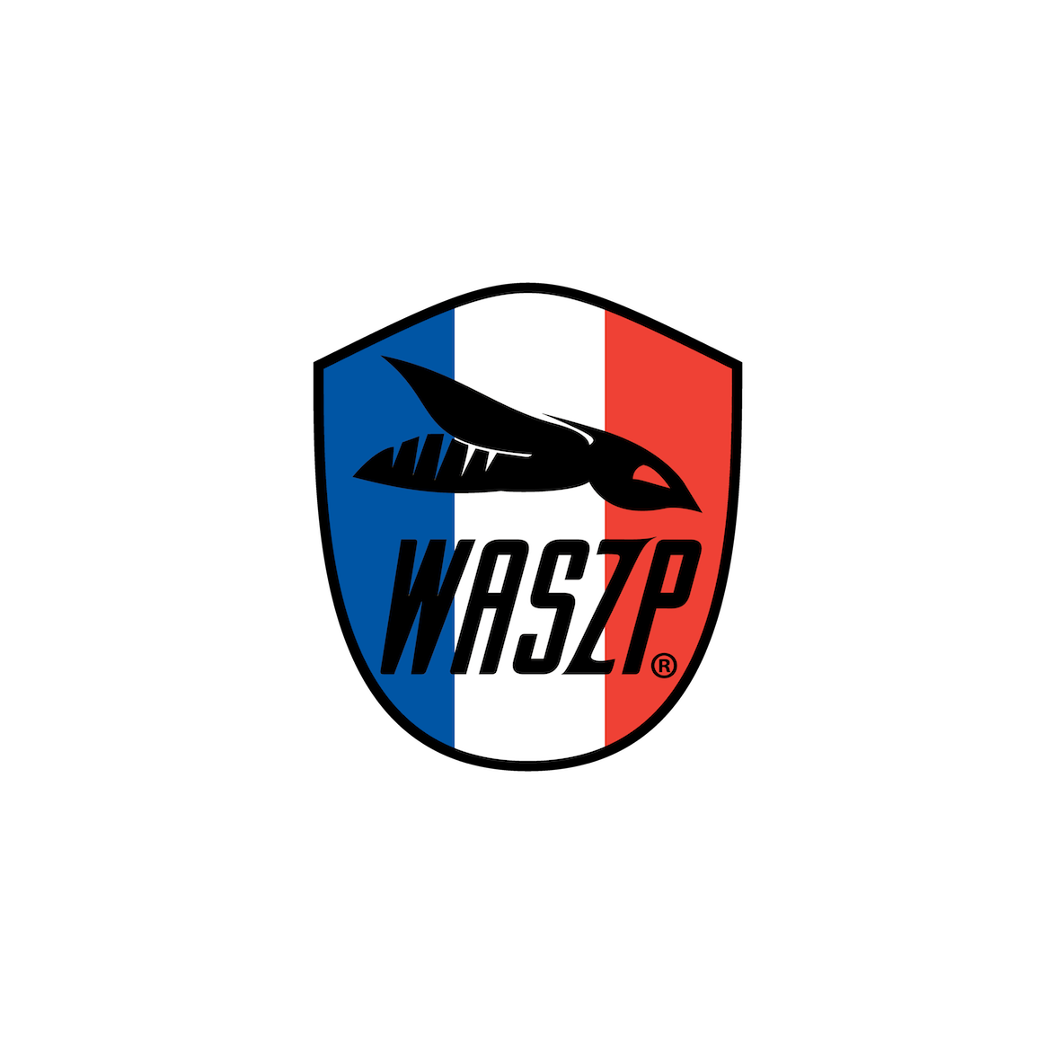 Classe WASZP France Membership (<25ans) – 2026