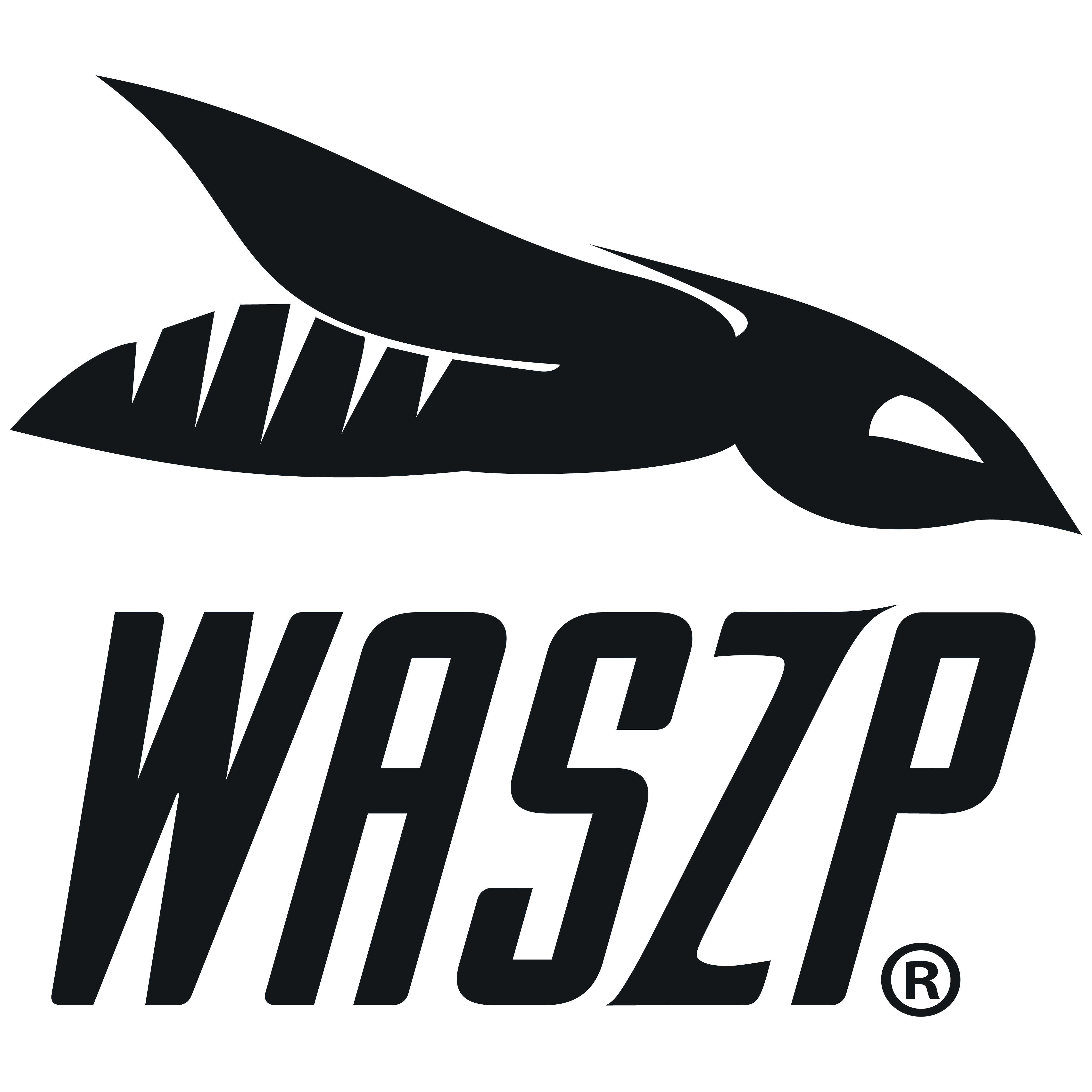 NORTH AMERICAN TEAM TRYOUTS